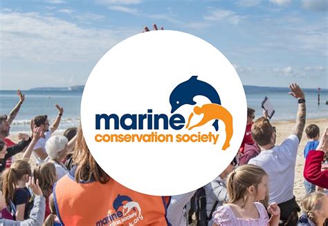 best ocean conservation charities|Ocean Conservation Trust .